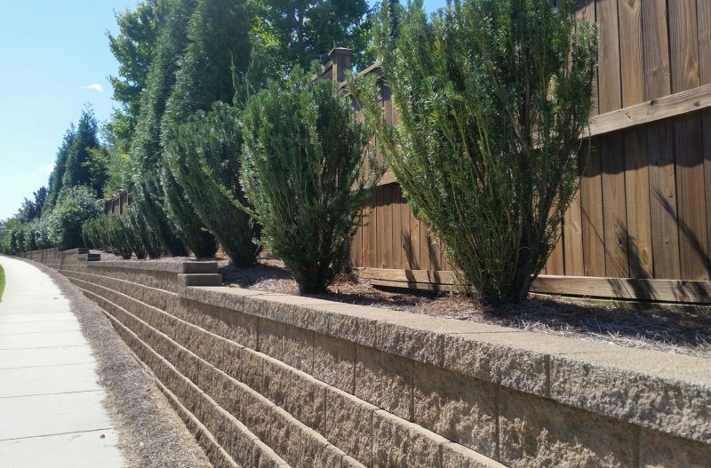 Landscape Wall Construction in Ventura County, CA