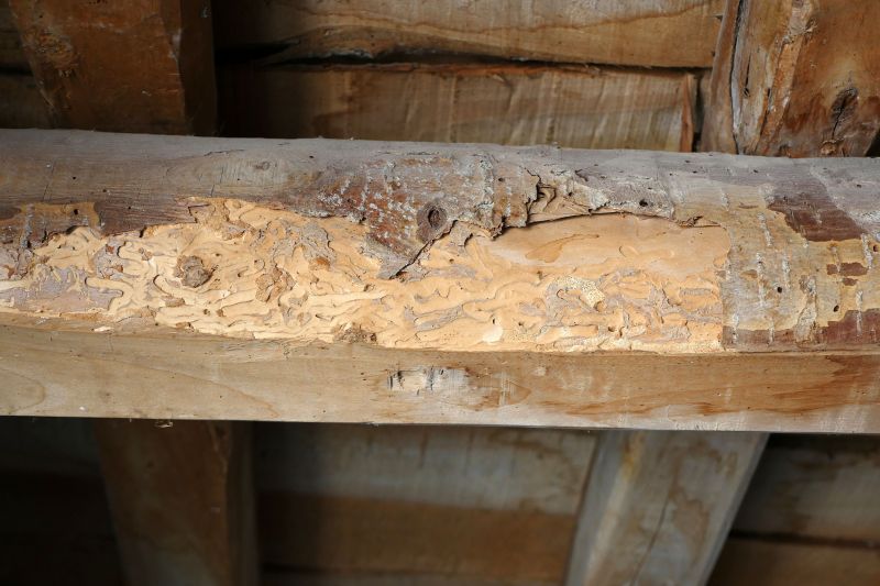 Damaged Timber Wall